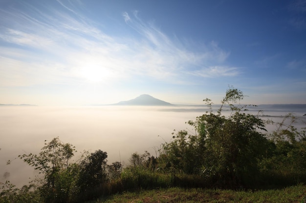 Niebla en el amanecer de la mañana en Khao Takhian Ngo View Point en Khaokho PhetchabunThailand