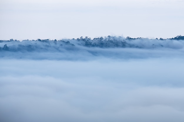 Niebla en el bosque con amanecer de la mañana en Khao Takhian Ngo View Point en Khao-kho Phetchabun