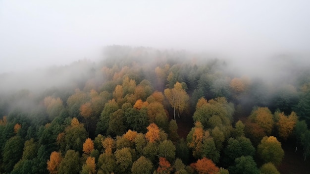 Niebla en bosque vista aérea IA generativa