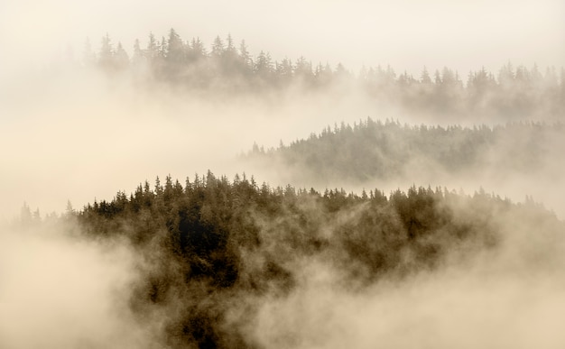 Foto niebla en la cima de la montaña en alaska