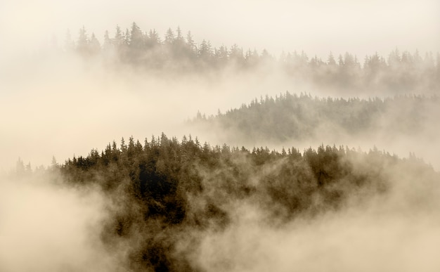 Niebla en la cima de la montaña en Alaska