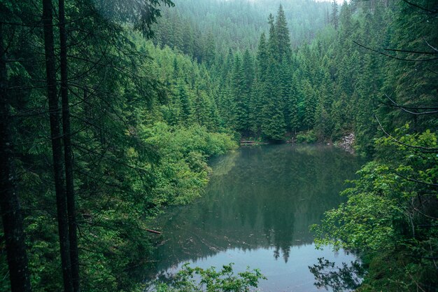 Niebla de clima brumoso sobre el lago en las montañas de los Cárpatos copia paisaje espacial