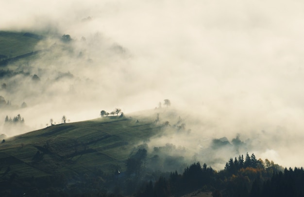 Niebla cubriendo las montañas verdes