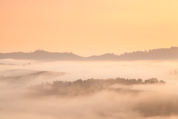 La niebla cubrió las montañas y el bosque por la mañana.