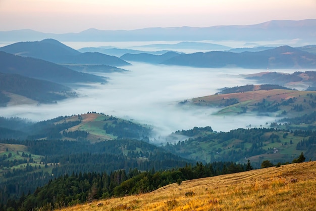 Niebla densa por la mañana en la zona forestal montañosa de los Cárpatos ucranianos Paisaje en la naturaleza Amanecer en las montañas