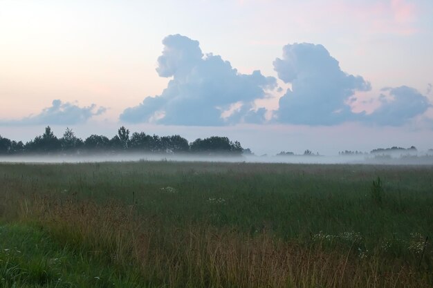 Niebla espesa en un campo al atardecer