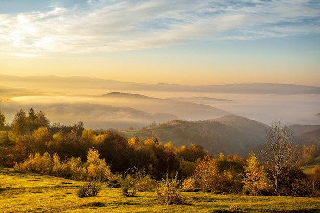 Niebla espesa en las montañas al amanecer temporada de otoño Hermoso fondo