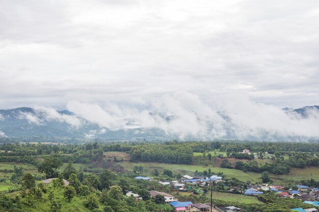 la niebla flotaba sobre las montañas.