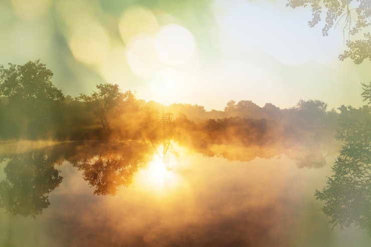 Foto niebla inusual en el río en la temporada de verano