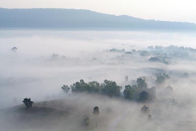 Niebla en Khao Takhian Ngo View Point en Khaokho PhetchabunThailand