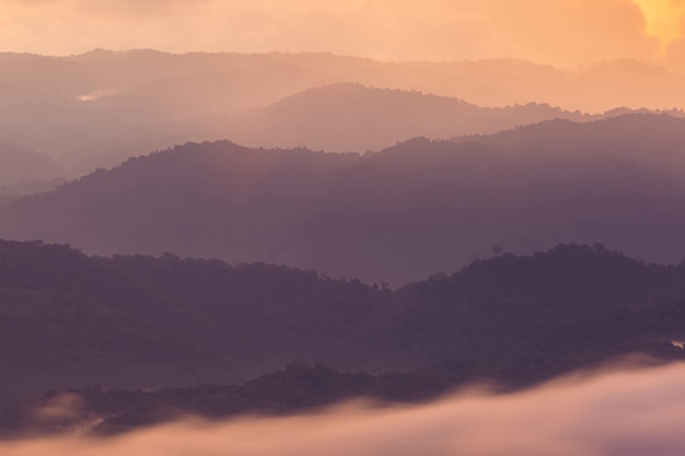 Niebla y luz de la mañana