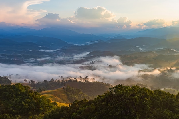 Niebla y luz de la mañana