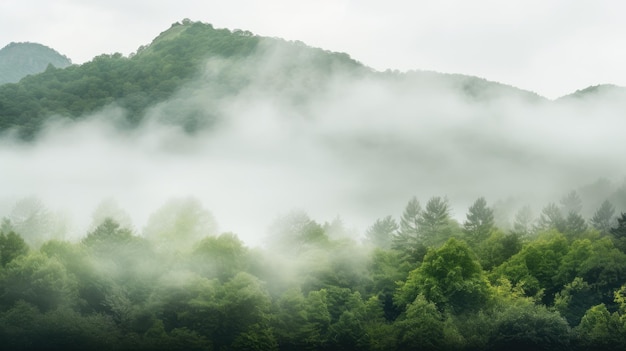 La niebla de la mañana se eleva del lago a los árboles Hermoso paisaje paisaje