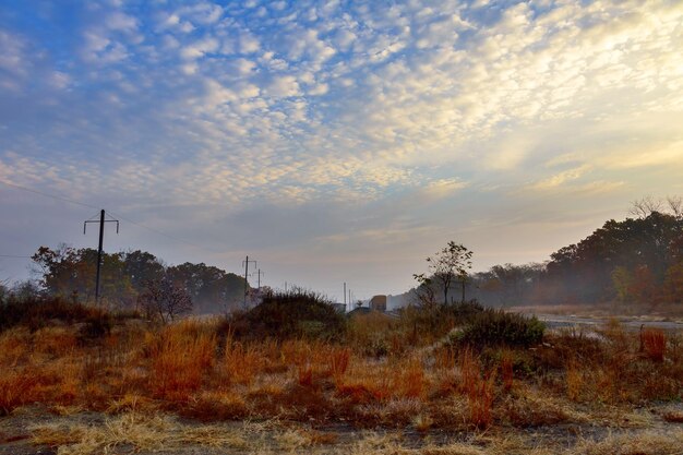 Niebla matutina en la estación de tren en el campo