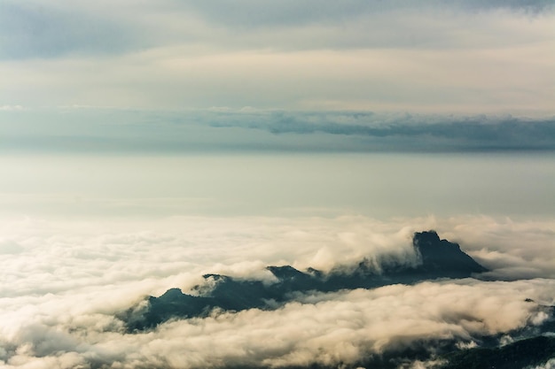 Niebla matutina con mar de montaña de mis