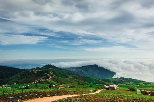 Niebla matutina con mar de montaña de mis