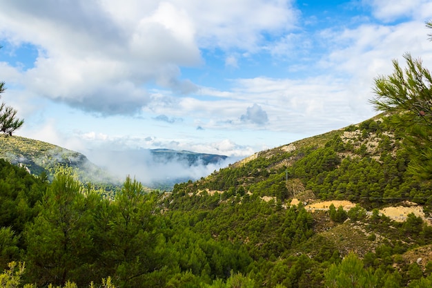 Niebla matutina en las montañas