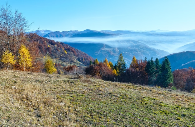 Niebla matutina en otoño de los Cárpatos. Paisaje de montaña con árboles coloridos en pendiente.