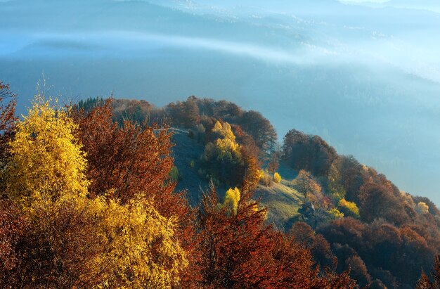 Niebla matutina en otoño de los Cárpatos. Paisaje de montaña con coloridos árboles en pendiente.