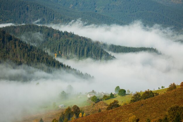 Niebla matutina sobre el pueblo de Dzembronya Cárpatos Ucrania