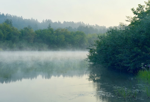 Niebla matutina sobre el río Inya