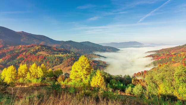 Niebla matutina sobre el valle entre las montañas a la luz del sol Niebla y naturaleza hermosa de las imágenes de las montañas de los Cárpatos Ucrania