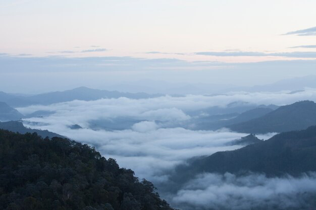 Niebla en la montaña de Tailandia