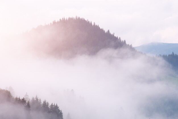 Niebla en la montaña