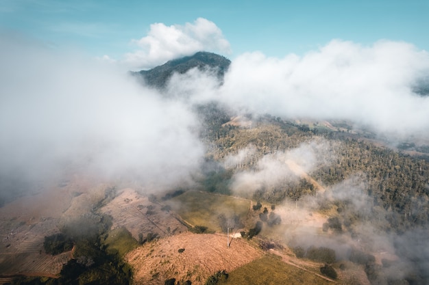 Niebla y montañas en el drone de forma de ángulo alto por la mañana