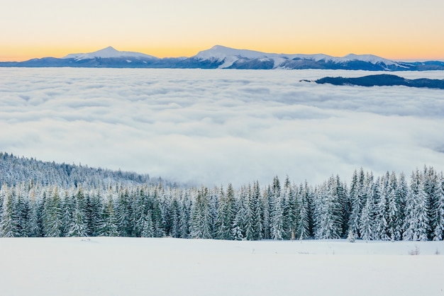 Niebla en las montañas de invierno. Fantástica puesta de sol. Cárpatos Ucrania