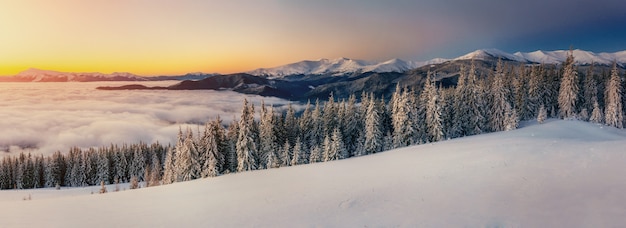Niebla en las montañas de invierno. Fantástica puesta de sol. Montes de Cárpatos. Ucrania.