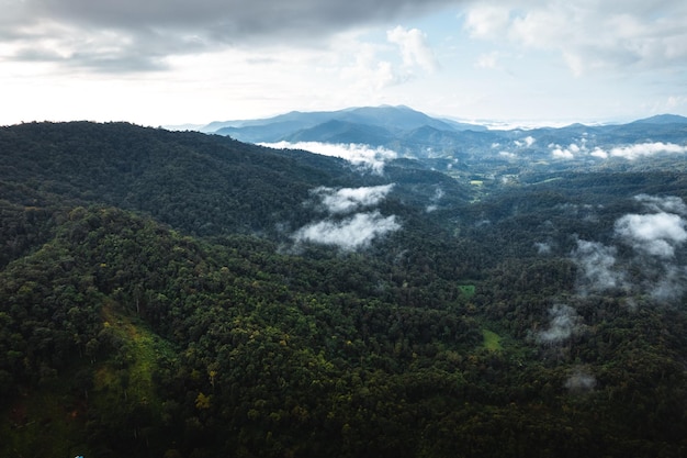 Niebla con montañas y luz por la mañana.