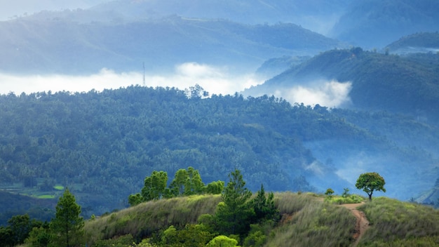 Niebla en las montañas por la mañana