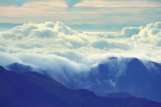 Niebla en las montañas