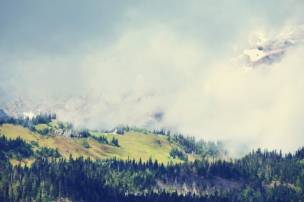 Niebla en las montañas