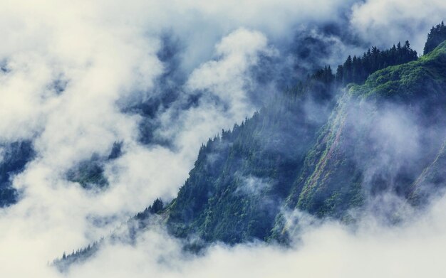 Niebla en las montañas