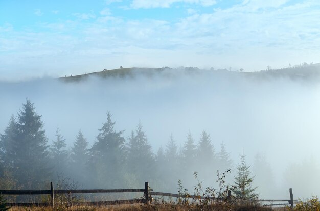 Niebla y montañas