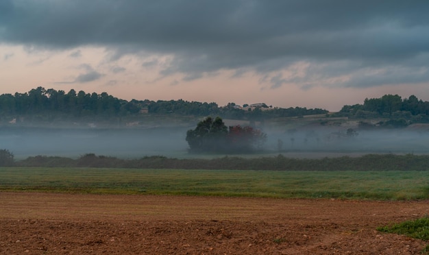 Niebla moviéndose entre los campos del país antes del amanecer en Mallorca, España