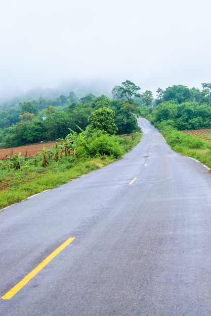 Niebla y niebla en el camino en las montañas