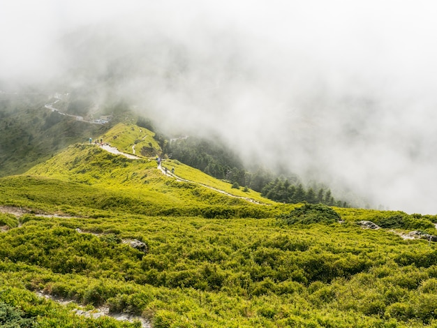 La niebla y las nubes cubren los bosques y las montañas.