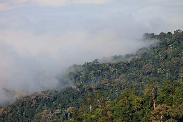 Niebla y nubes de montaña valle paisaje