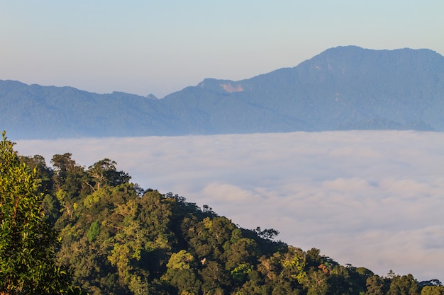 Niebla y nubes de montaña valle paisaje