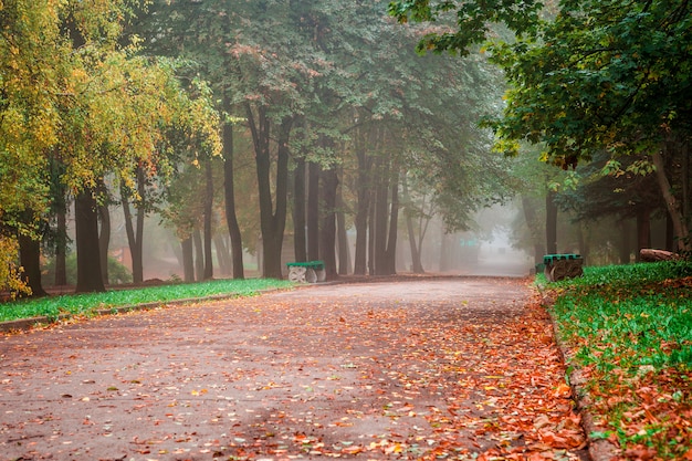 Niebla pequeña está en otoño en un parque central