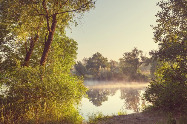 Niebla en el río