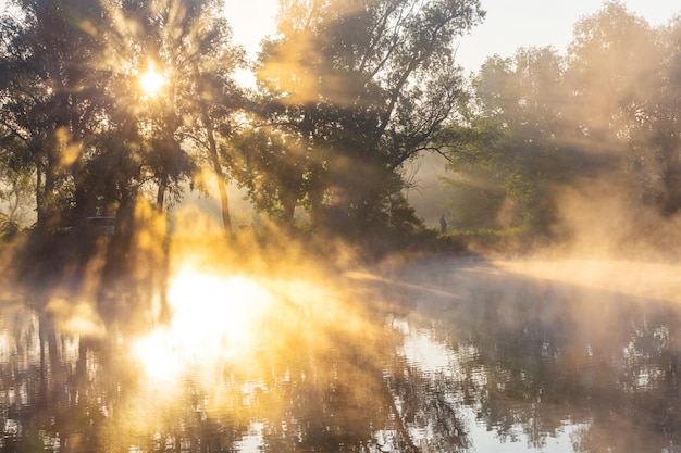 Niebla en el río