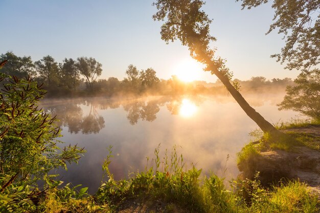 Niebla en el río