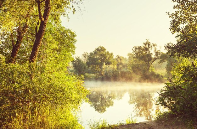 Niebla en el río