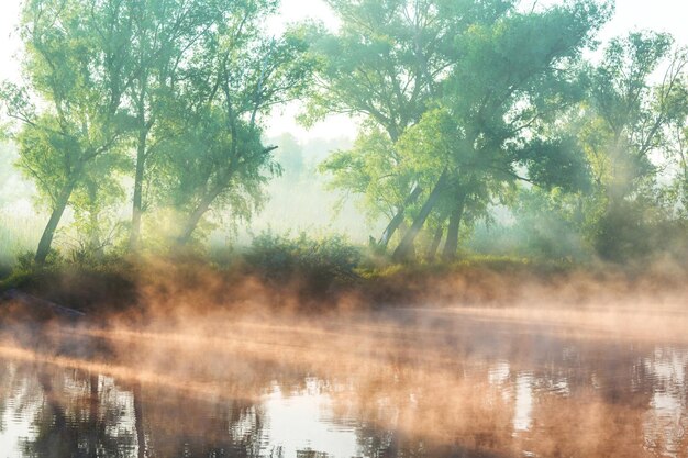 Niebla en el río