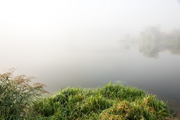 niebla sobre el lago con reflejo en el agua