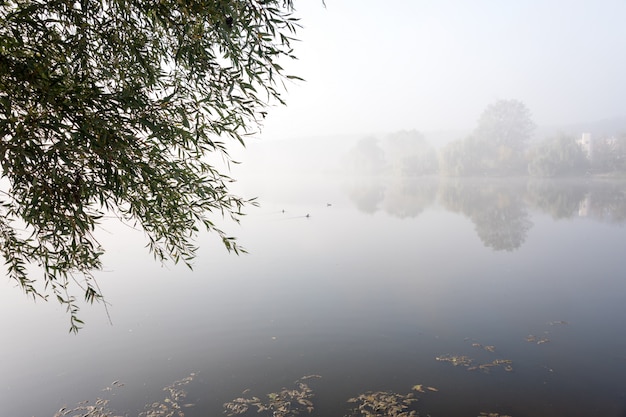 niebla sobre el lago con reflejo en el agua